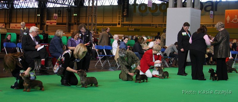 Crufts2010 246.jpg